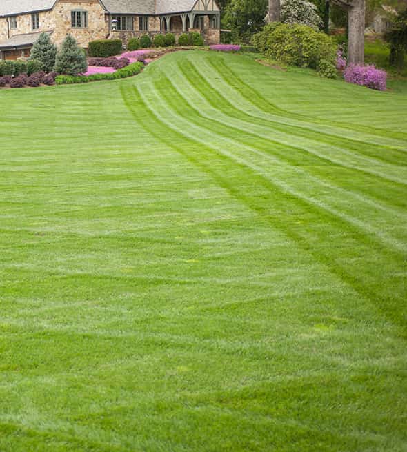 lawn-maintenance-service lawn maintenance service