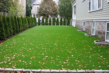 lawn-mowing-newton lawn mowing newton