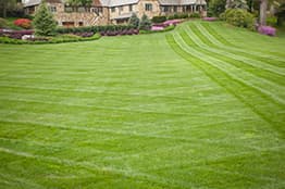 lawn-mowing lawn mowing