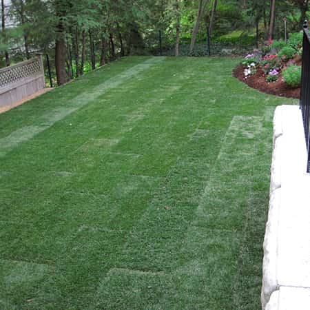 backyard-sodd-installation backyard-sodd-installation-needham