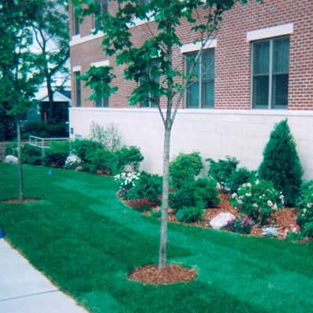 commercial-landscape-design-installer commercial-landscape-design-installer