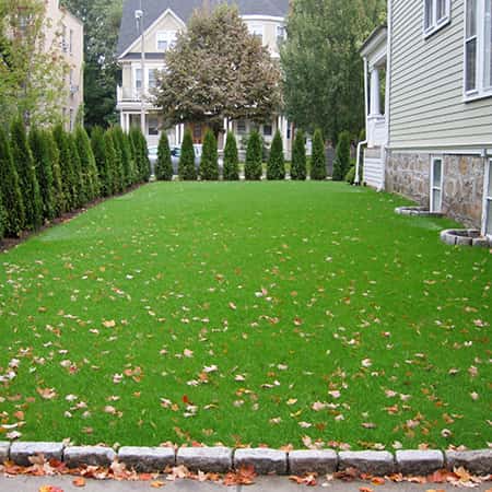 hydroseed-install-needham hydroseed-install-needham