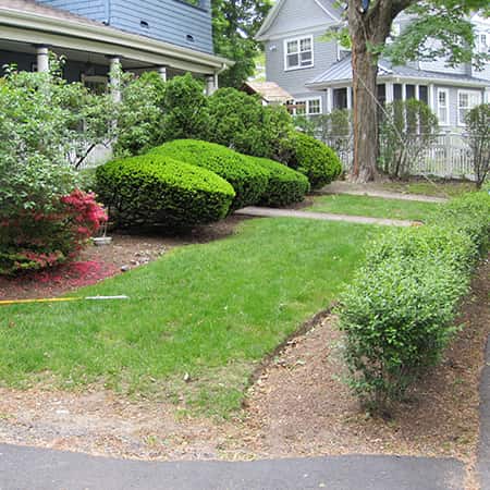 landscape-design-brookline landscape-design-brookline