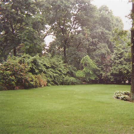 lawn-renovation-newton-finished-project new-lawn-renovation-finished