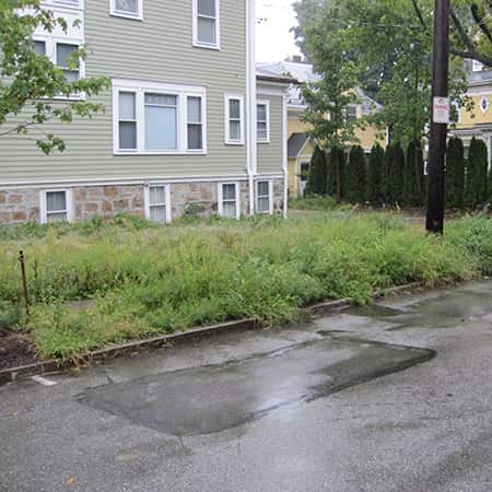 new-lawn-install new-lawn-install-needham