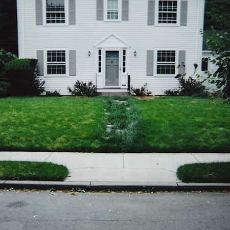 new-lawn-installation-brookline new-lawn-installation-brookline-ma